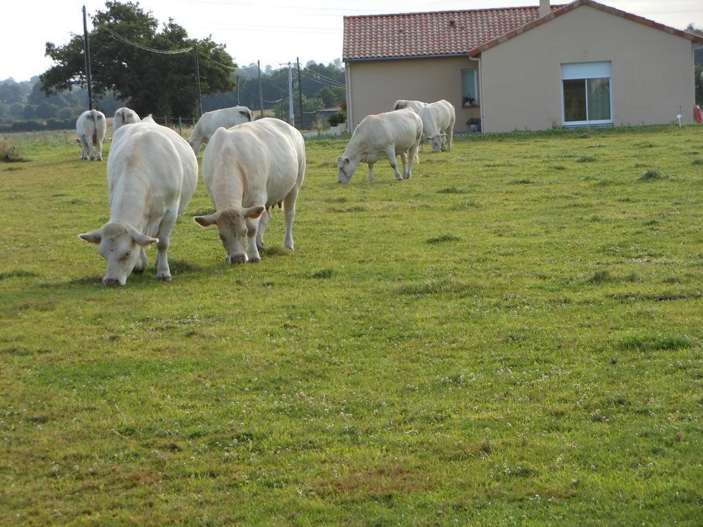 Neuvy-en-Mauges Chambre D'Hotes La Basse Gougeonniere المظهر الخارجي الصورة